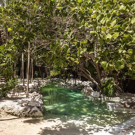 Niken Beachfront Tulum Hotel Dış mekan fotoğraf