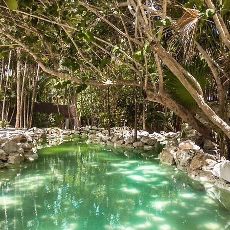 Niken Beachfront Tulum Hotel Dış mekan fotoğraf