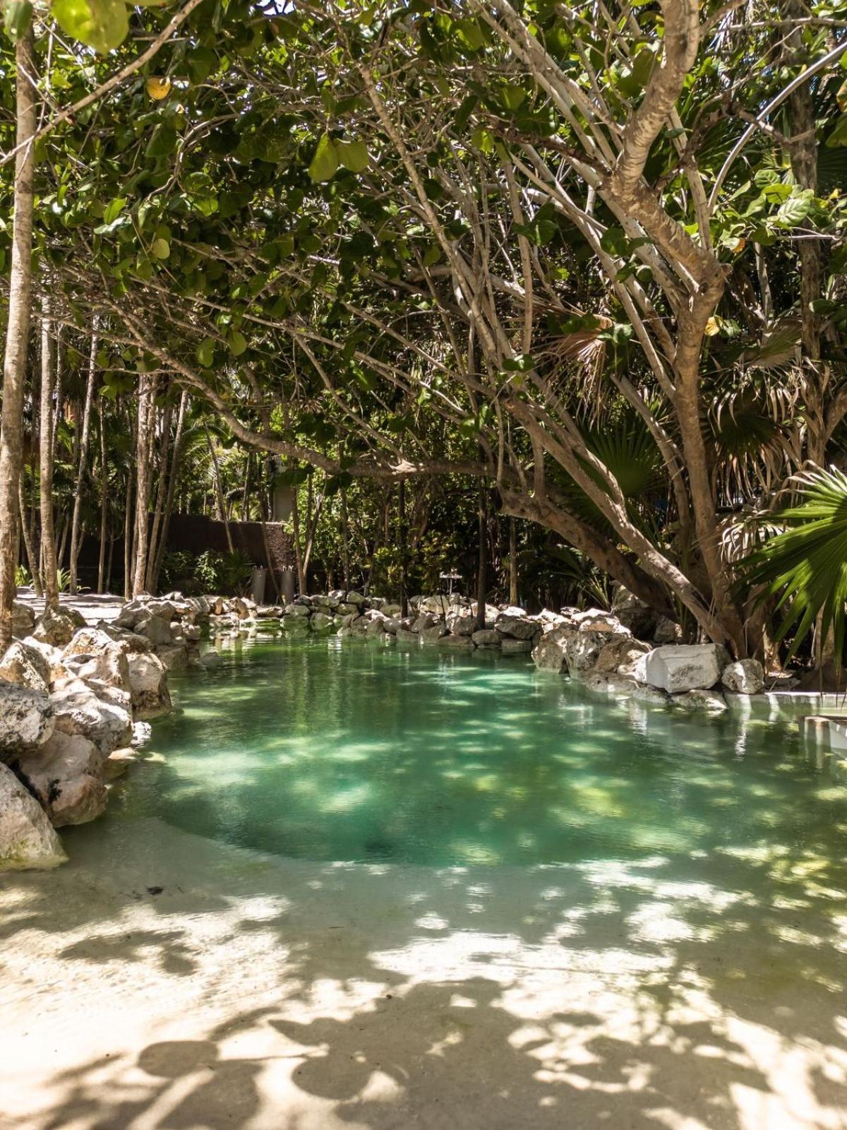 Niken Beachfront Tulum Hotel Dış mekan fotoğraf