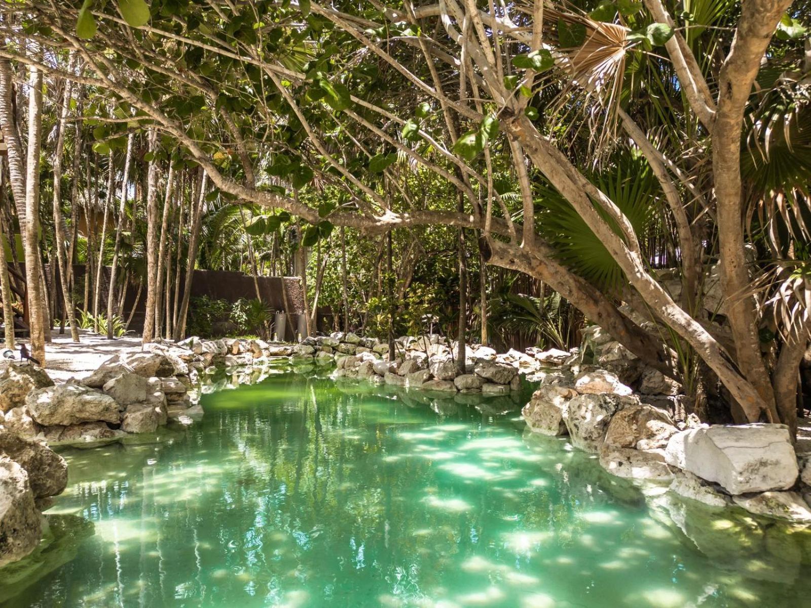 Niken Beachfront Tulum Hotel Dış mekan fotoğraf
