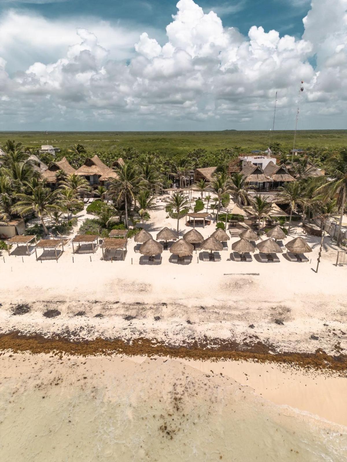 Niken Beachfront Tulum Hotel Dış mekan fotoğraf